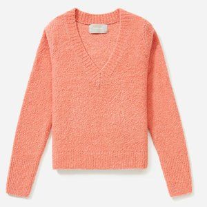 NWT Everlane The Teddy V-Neck Sweater